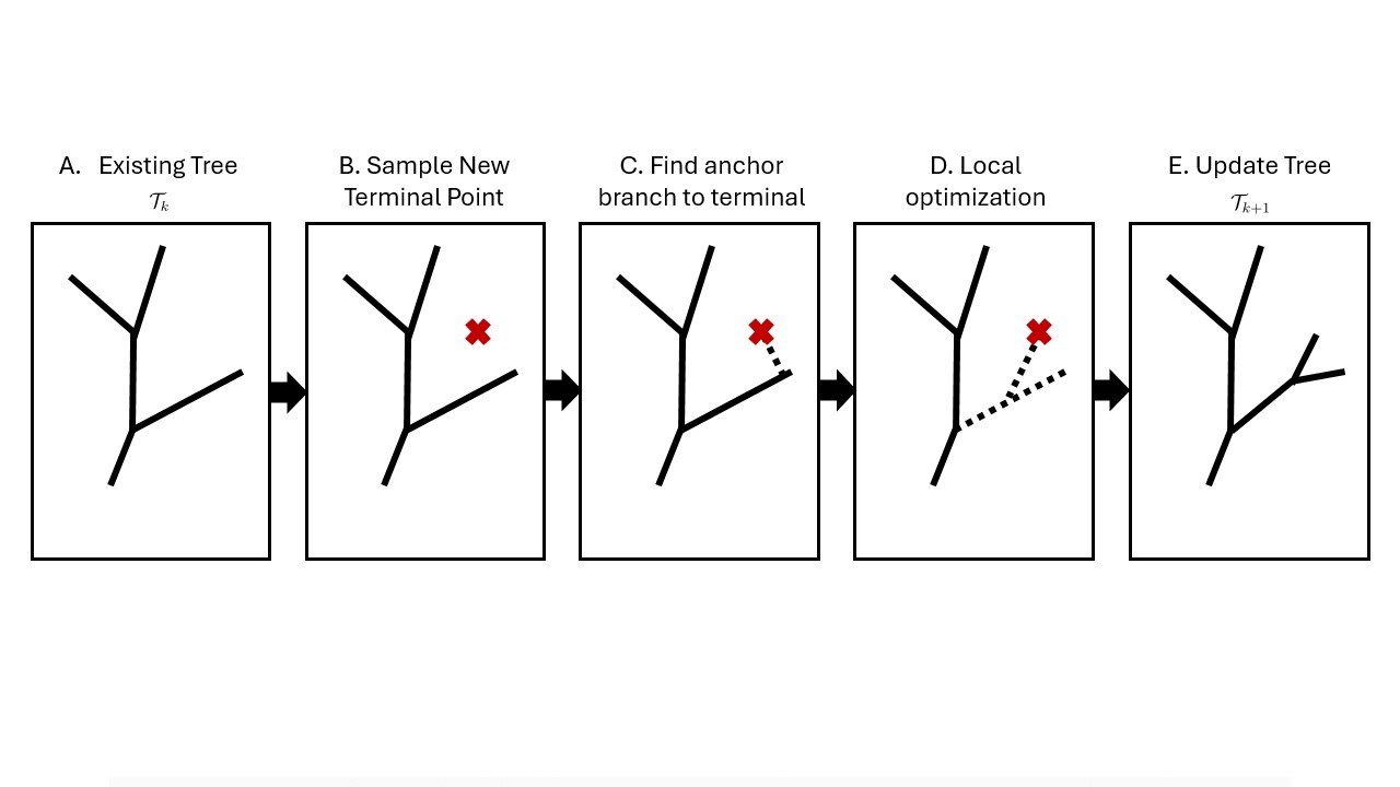 CCO growth cycle panels A–E with fixed target X.